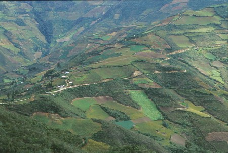 Patchwork landscape. Chachapoyas, Peru