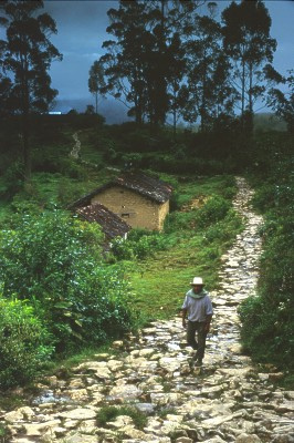 Inca road. Chachapoyas, Peru