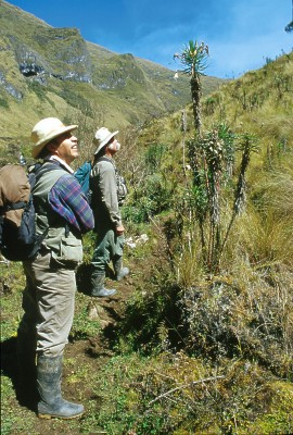 Chachapoyas, Peru