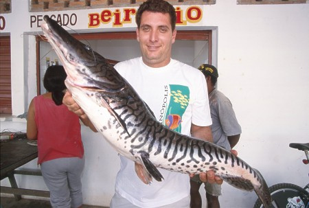 Catfish. Corumba, Mato Grosso do Sul, Brazil