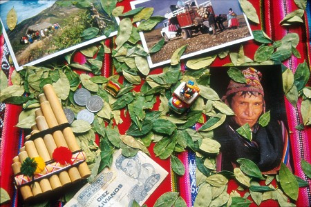 Coca Leaves. Bolivia