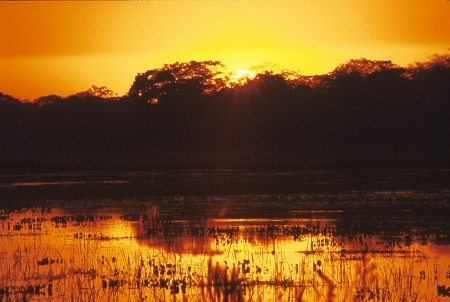 Sunset in the Pantanal, Brazil