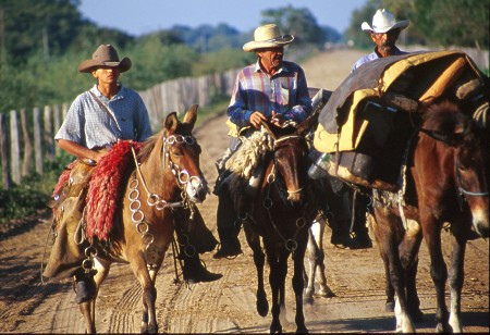 Pantaneiros. Pantanalm Brazil