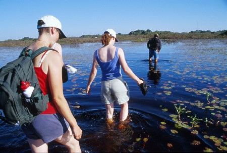 Eco tourism. Pantanal, Brazil